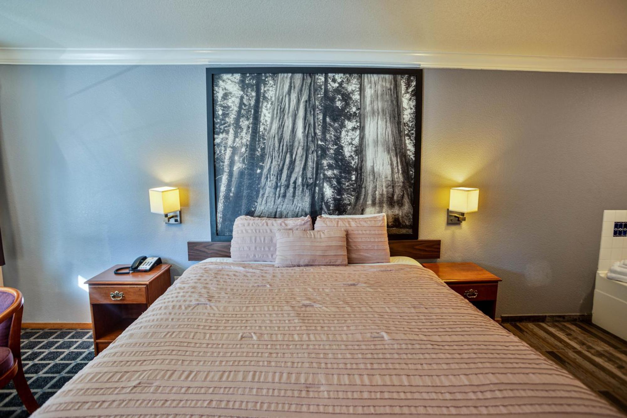 Creekside Inn & Suites Willits Ngoại thất bức ảnh